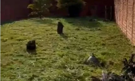 Terreno para venda em Vila Cidade Jardim de 300.00m²