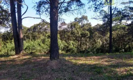 Terreno en Condomínio para venda em Aldeia Da Serra de 1270.00m²