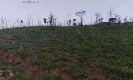 Terreno para venda em Botujuru (botujuru) de 20456.00m²