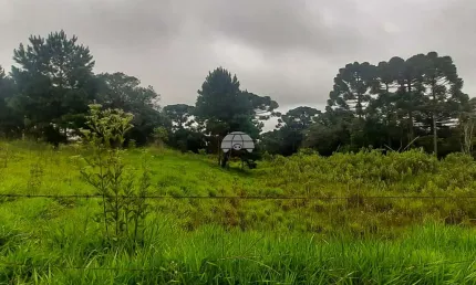 Terreno à venda na Rua Nossa Senhora de Fátima, 1255, Paloma, Colombo