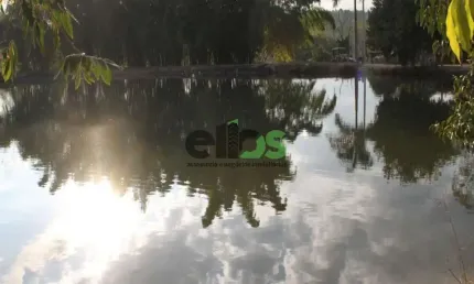 Fazenda / sítio para venda em área rural de artur nogueira de 18.00m² com 1 quarto