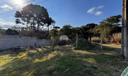 Terreno à venda na Estrada Da Ribeira Br-476, 780, Guarani, Colombo