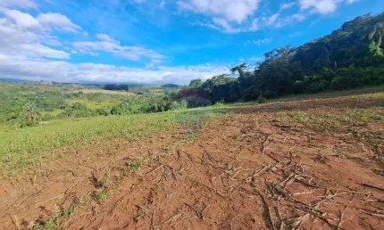 Fazenda / Sítio para venda em Cajuru de 6500000.00m² com 3 Quartos e 2 Suites