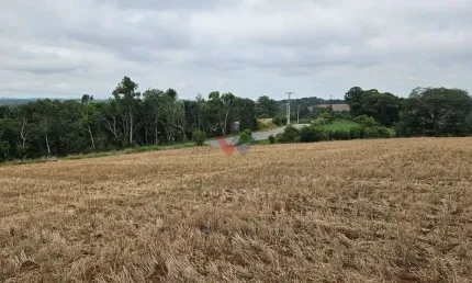 Terreno à venda no Guajuvira, Araucária 