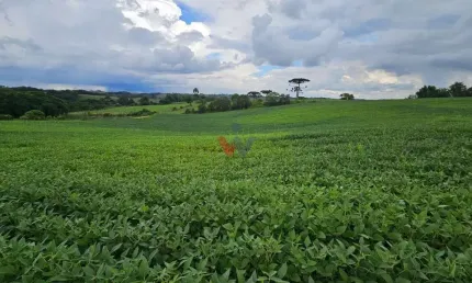 Fazenda / Sítio para venda em Campo Magro de 48400.00m² com 1 Quarto