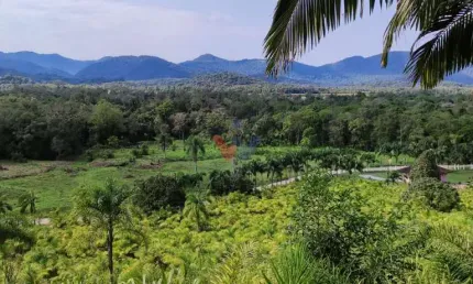 Chácara para venda em guaraqueçaba de 332.00m² com 1 quarto