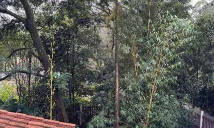 Casa para alugar em Quintas Do Ingaí de 225.00m² com 3 Quartos
