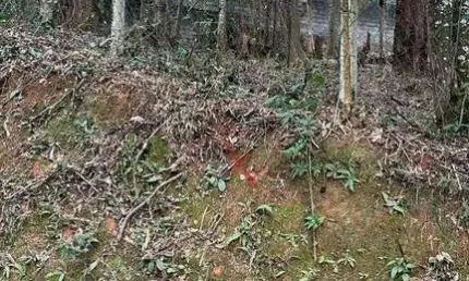 Terreno para venda em loteamento capital ville de 1016.00m²