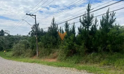 Terreno à venda na Estrada do Lutero, Paisagem Renoir, Cotia