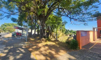Terreno comercial para alugar na Rua dos Expedicionários, Sousas, Campinas