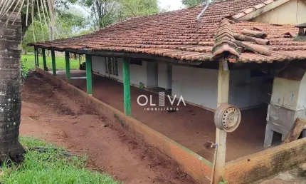 Fazenda / sítio para venda em vila são jorge de 193600.00m² com 4 quartos