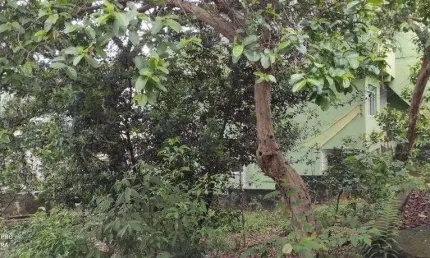 Terreno à venda na Rua João Rodrigues Leite, 83, Vila Clarice, São Paulo