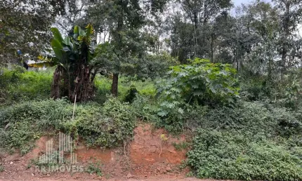 Terreno para venda em Parque Fernão Dias de 329.00m² com 4 Quartos, 2 Suites e 4 Garagens