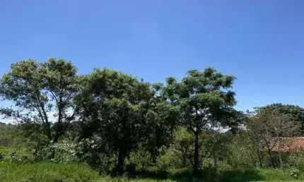 Terreno à venda no Jardim Riviera, Botucatu 