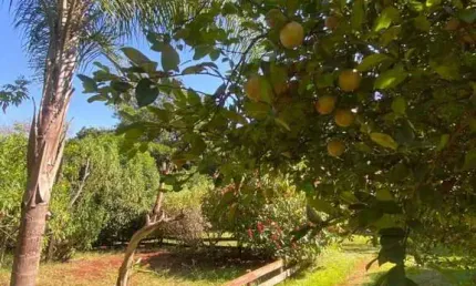 Chácara para venda em bonfim paulista de 5000.00m² com 5 quartos e 1 suite