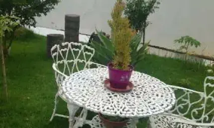 Casa para venda em jardim maringá de 300.00m² com 2 quartos, 1 suite e 4 garagens
