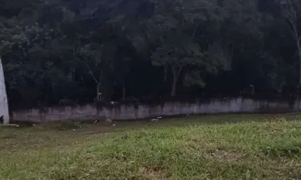 Terreno à venda na Avenida Prefeito Francisco Ribeiro Nogueira, 1619548, Mogi Moderno, Mogi das Cruzes