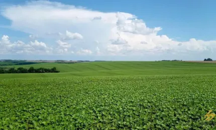 Lote / terreno para venda em são cristóvão de 19360000.00m² com 1 quarto