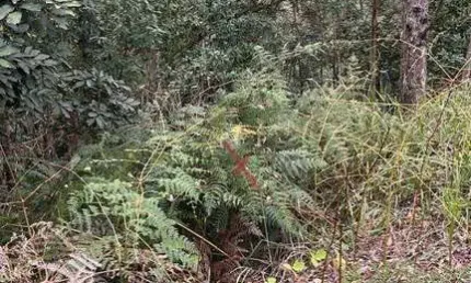 Terreno en condomínio para venda em loteamento capital ville de 709.00m²