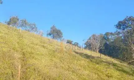 Imóvel comercial para venda em itapeti de 20000.00m²
