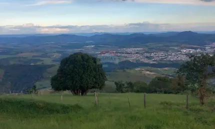 Chácara para venda em albertina de 29000.00m² com 2 quartos e 10 garagens