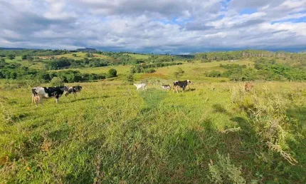 Chácara para venda em cajuru de 6500000.00m² com 3 quartos, 3 suites e 10 garagens