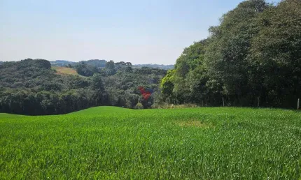 Chácara para venda em capela velha de 20000.00m² com 1 quarto