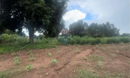 Terreno para venda em residencial santa mônica de 27515.00m²