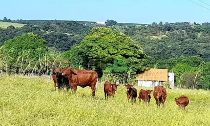 Fazenda / sítio para venda em centro de 30.50m² com 1 quarto