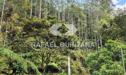 Terreno Rural à Venda, 4 hectares para Sítio ou Empreendimento Turístico, Aguas Mornas - SC