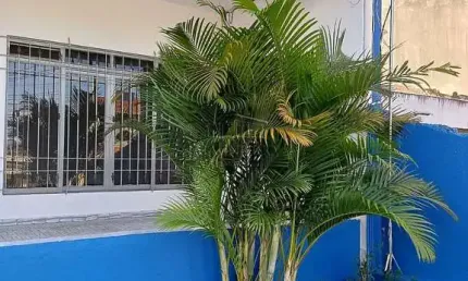 Casa à venda na Rua Rosário da Limeira, Vila Paranaguá, São Paulo