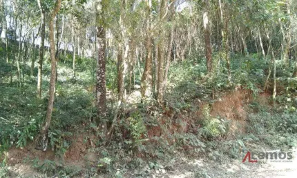 Terreno à venda de 339 m² no jardim paulista em atibaia/sp - te1436