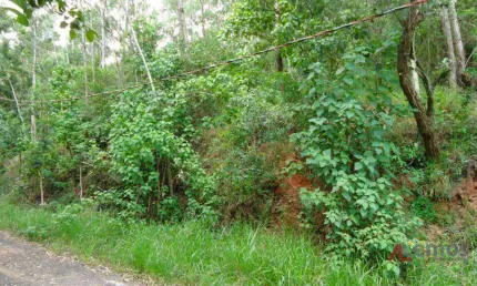 Terreno à venda de 596 m² no Bosque dos Eucalíptos em Atibaia/SP - TE0726
