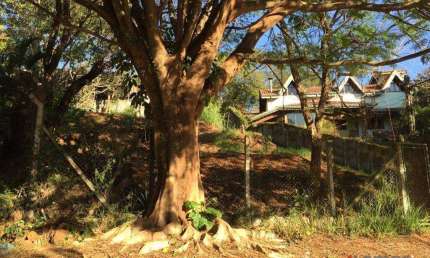 Terreno à venda de 390 m² no bairro Jardim Paulista - Atibaia/SP - TE1784