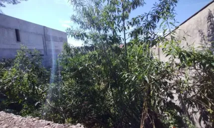 Terreno à venda, 618 m² no Jardim Paulista em Atibaia/SP - TE2190
