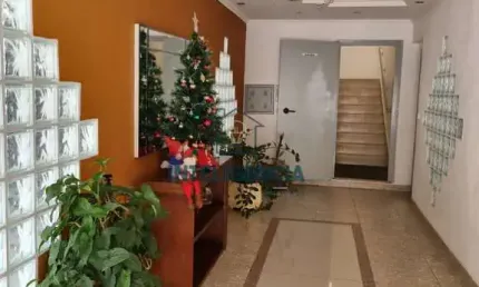 Condomínio Radiante - Apartamento em Vila Nova Cachoeirinha, São Paulo/SP