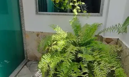 Casa com 2 quartos à venda no Parque Presidente Vargas, Campos dos Goytacazes 