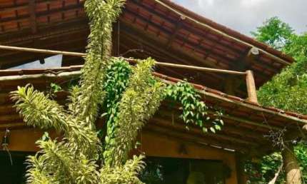 Casa com 2 quartos à venda no Centro, Paraty 