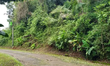 Terreno à venda na Praia do Félix (Praia do Lúcio), Ubatuba 