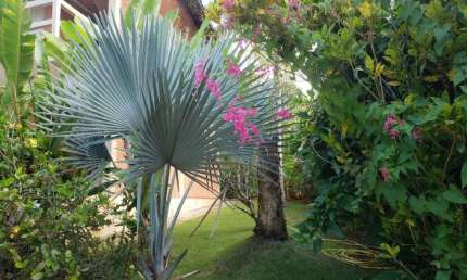 Linda casa em Condomínio de 365m², com 3 dormitórios sendo 1 suíte na praia das Toninhas !