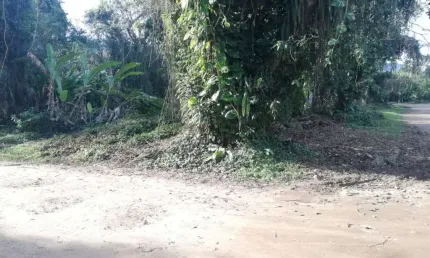 Terreno em itamambuca à 100m da praia! 540m² cercado de muito verde e tranquilidade na praia mais famosa de ubatuba!