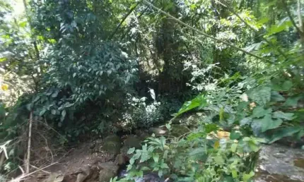 Casa com 4 quartos à venda no Taquaral, Ubatuba 