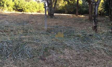 Terreno à venda, 5000 m² por R$ 1.100.000,00 - Colinas do Mosteiro de Itaici - Indaiatuba/SP