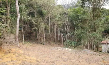 Terreno residencial à venda, graminha, juiz de fora - .