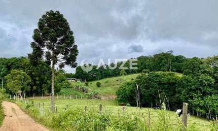 Chácara à venda 3 Alqueires e 907,50 m² Areia Branca Dos Assis, Mandirituba, PR