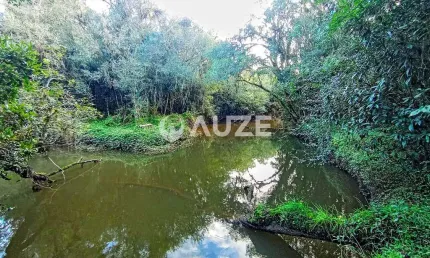 Maravilhosa Chácara à venda, Colônia Murici, São José dos Pinhais, PR