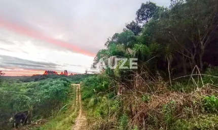 Excelente Oportunidade !!!Chácara à venda, Colônia Murici, São José dos Pinhais, PR