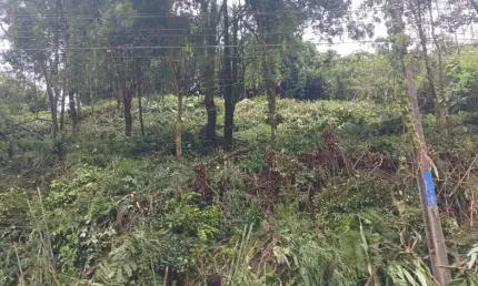 Aceita financiamento Terreno ZR-1 a venda à 150 metros da R. Antônio Johnson