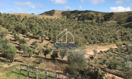 Sítio à venda, Estrada do Pinhal Novo em Lorena, com uma área de 19,7 Hectares.