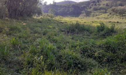 Espetacular sitio de 21000 m2 a 300 metros do asfalto